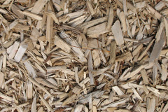 biomass boilers Newingreen