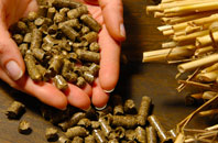 free Newingreen biomass boiler quotes